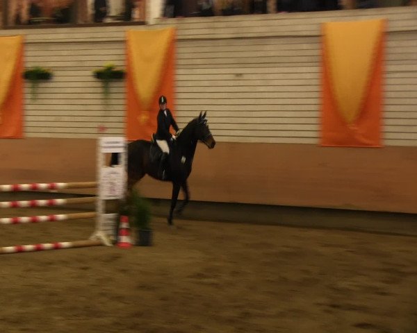 Reitturnier Hellefeld 2016