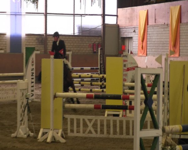 Reitturnier Hellefeld 2016