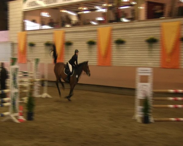 Reitturnier Hellefeld 2016