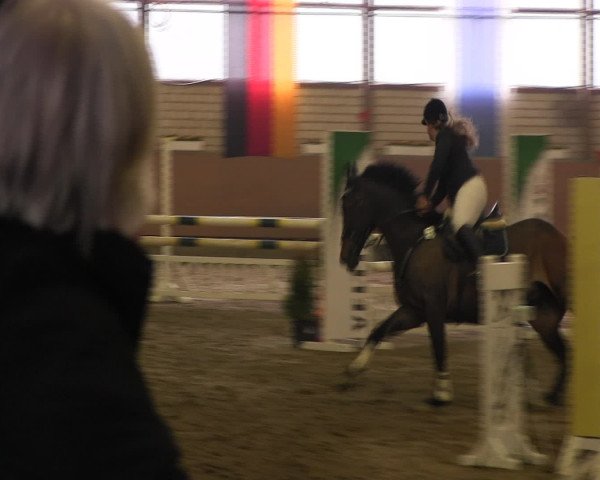 Reitturnier Hellefeld 2016