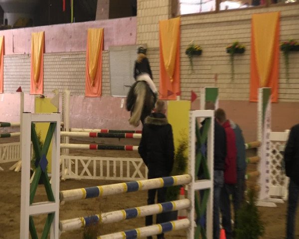 Reitturnier Hellefeld 2016