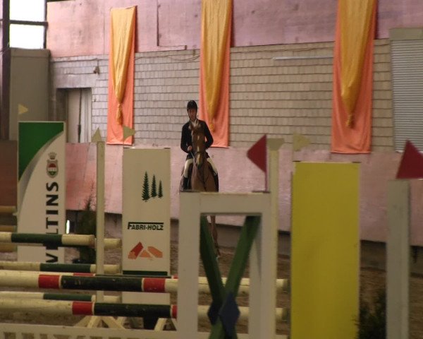 Reitturnier Hellefeld 2016