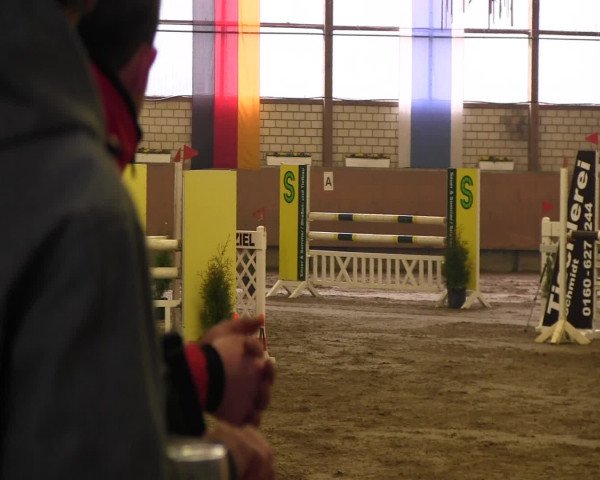 Reitturnier Hellefeld 2016