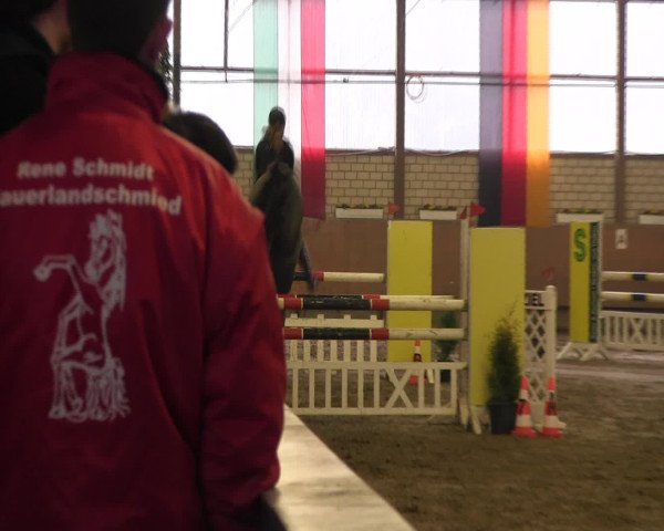 Reitturnier Hellefeld 2016