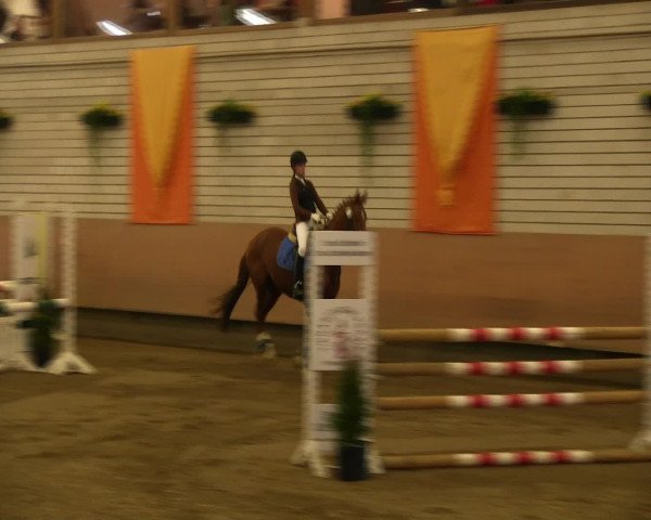 Reitturnier Hellefeld 2016