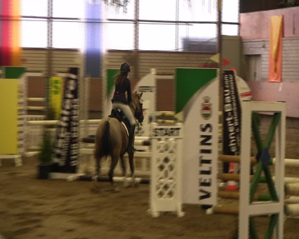 Reitturnier Hellefeld 2016