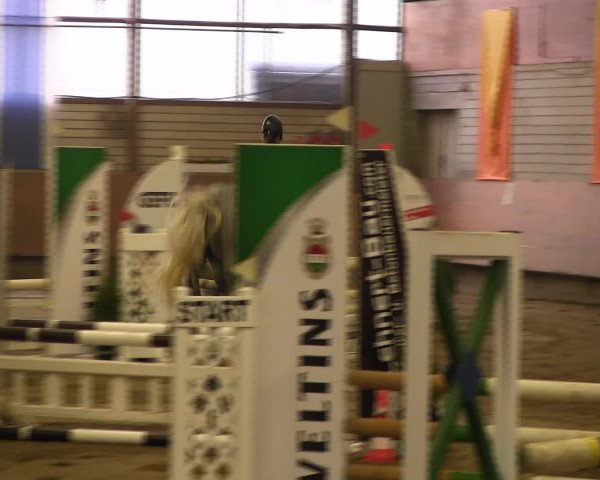Reitturnier Hellefeld 2016