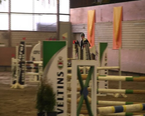 Reitturnier Hellefeld 2016