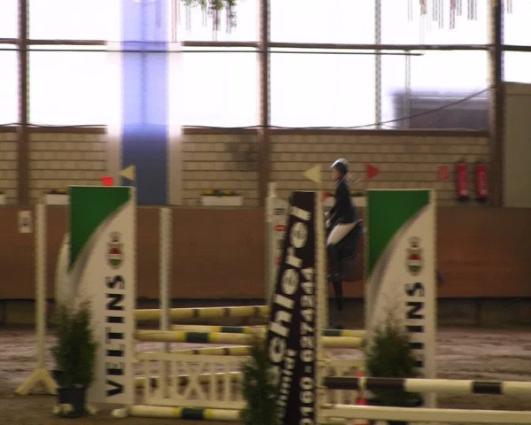 Reitturnier Hellefeld 2016