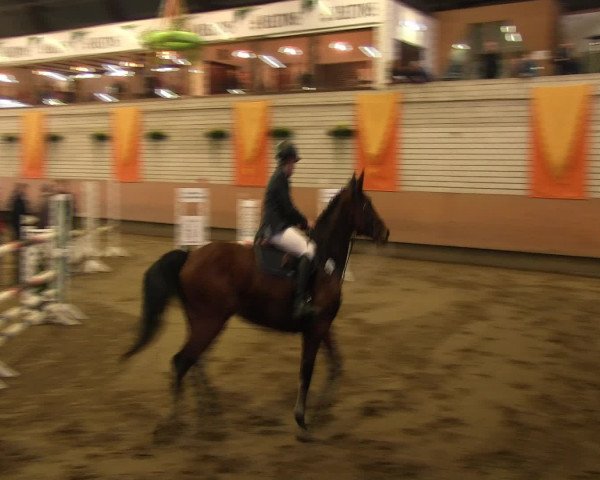 Reitturnier Hellefeld 2016