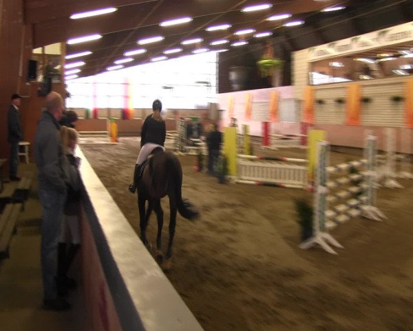 Reitturnier Hellefeld 2016