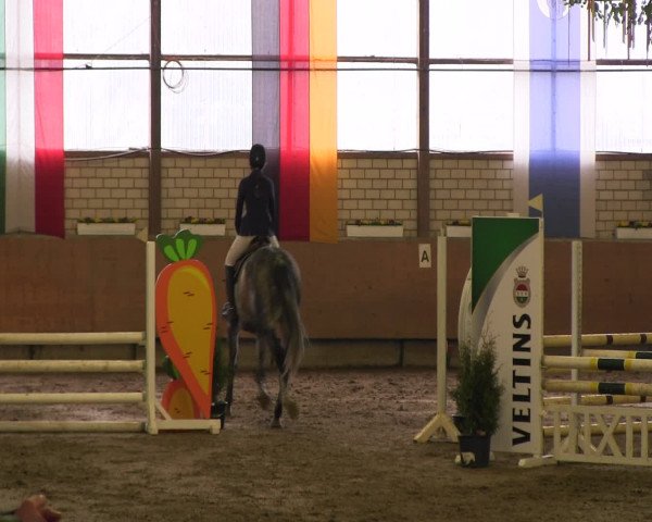 Reitturnier Hellefeld 2016