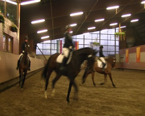 Reitturnier Hellefeld 2016