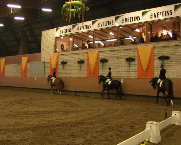 Reitturnier Hellefeld 2016
