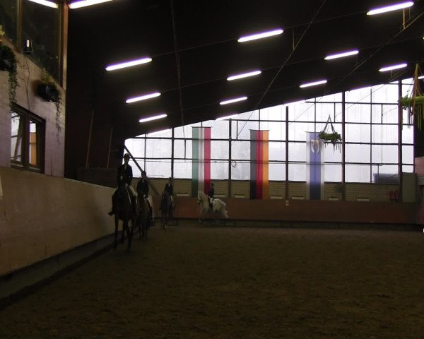Reitturnier Hellefeld 2016