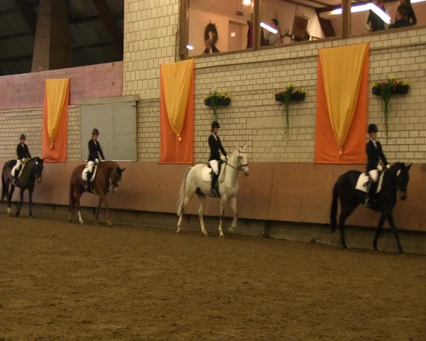 Reitturnier Hellefeld 2016