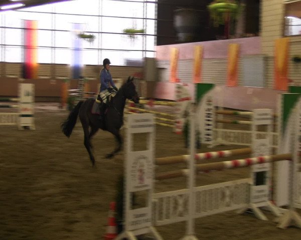 Reitturnier Hellefeld 2016