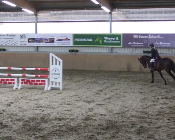 Hallenspringturnier Altenberge 2016