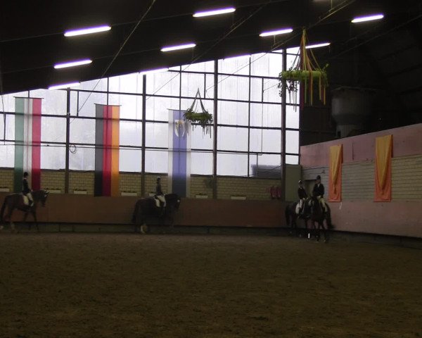 Reitturnier Hellefeld 2016