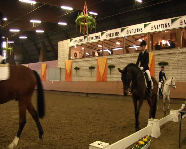 Reitturnier Hellefeld 2016