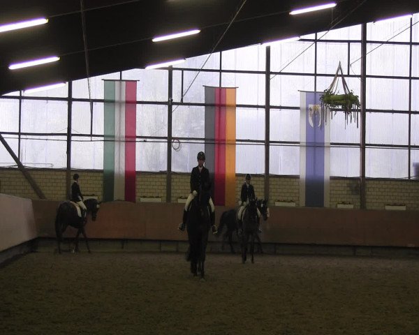 Reitturnier Hellefeld 2016