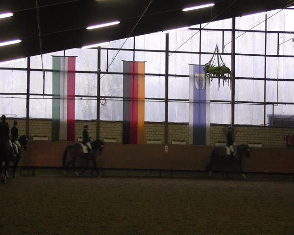Reitturnier Hellefeld 2016