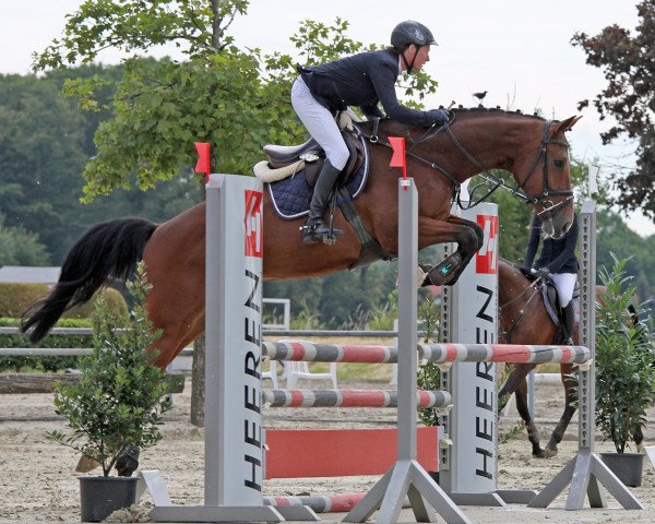 jumper Cimbaley (Westphalian, 2015, from Capistrano 2)