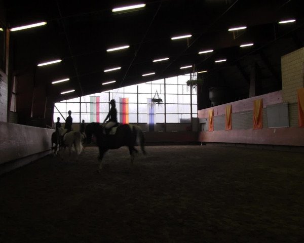 Reitturnier Hellefeld 2016