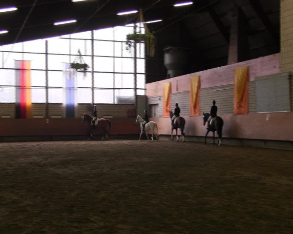 Reitturnier Hellefeld 2016