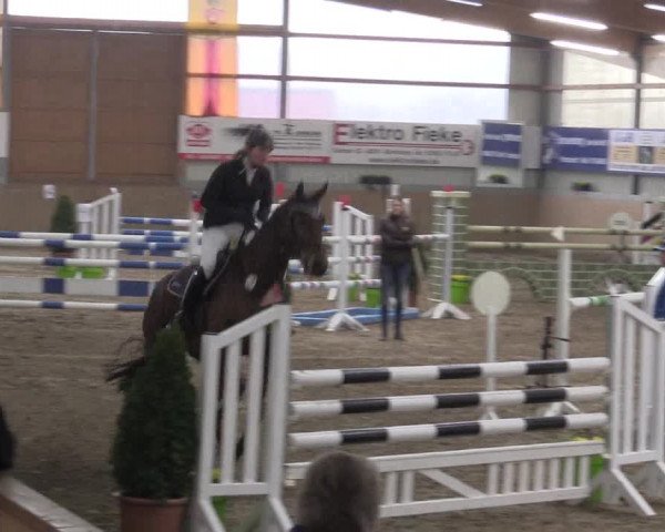 Hallenspringturnier Altenberge 2016