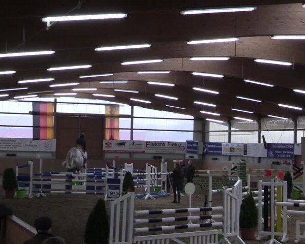Hallenspringturnier Altenberge 2016
