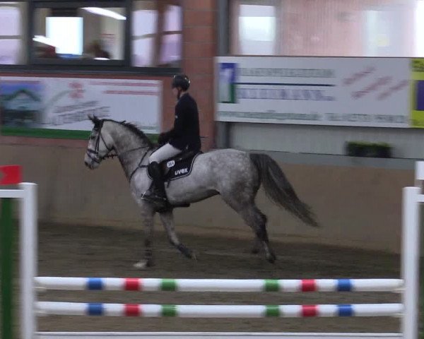 Hallenspringturnier Altenberge 2016