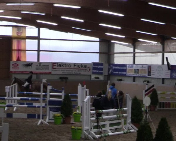 Hallenspringturnier Altenberge 2016