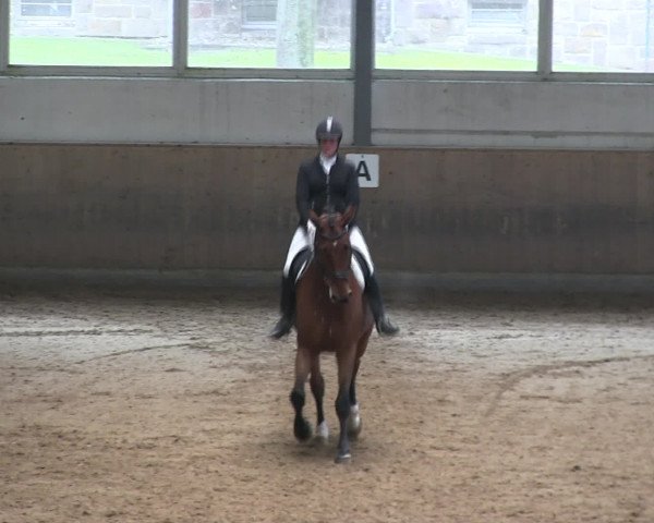 Hallen-Reitturnier Iserlohn 2016