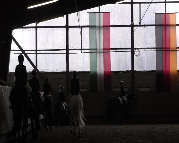 Reitturnier Hellefeld 2016