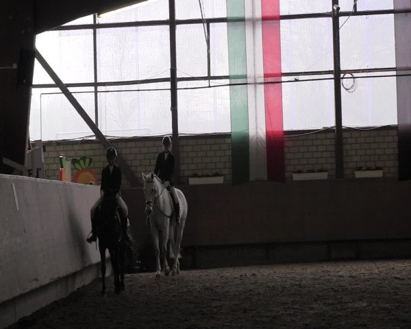 Reitturnier Hellefeld 2016