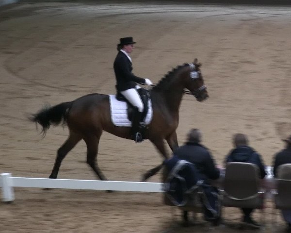 Hallen-Reitturnier Iserlohn 2016