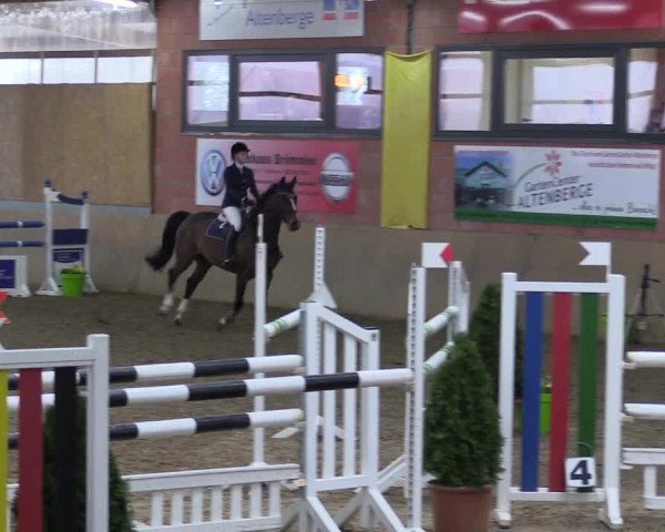 Hallenspringturnier Altenberge 2016