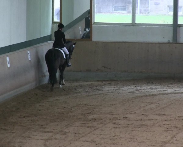 Hallen-Reitturnier Iserlohn 2016