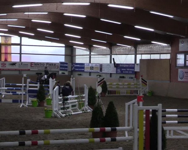 Hallenspringturnier Altenberge 2016