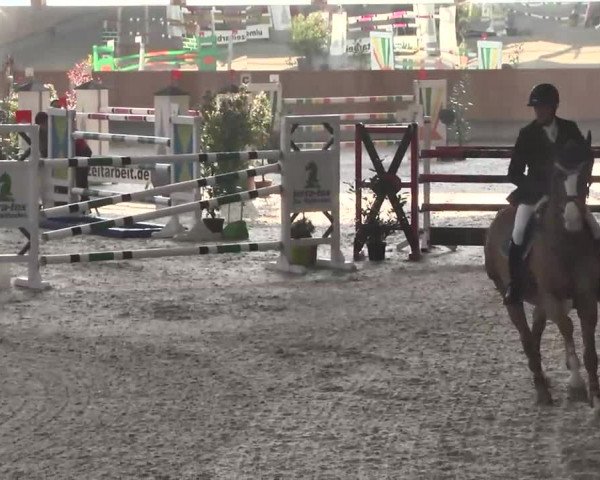 Reitturnier Illertissen 2016