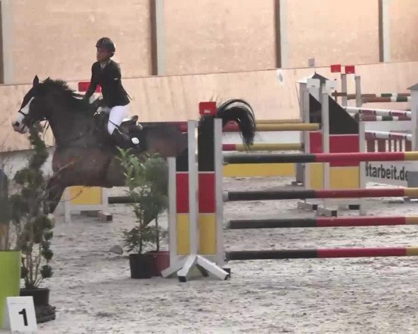 Reitturnier Illertissen 2016