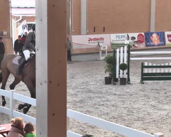 Reitturnier Illertissen 2016