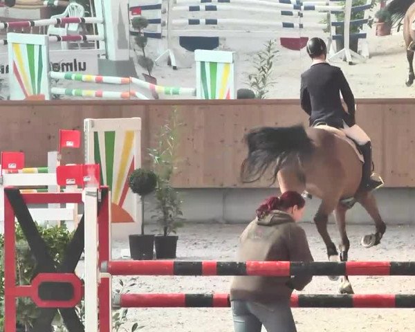 Reitturnier Illertissen 2016