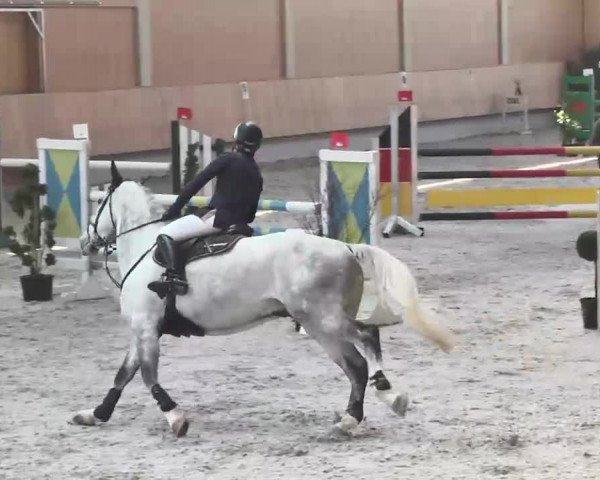 Reitturnier Illertissen 2016