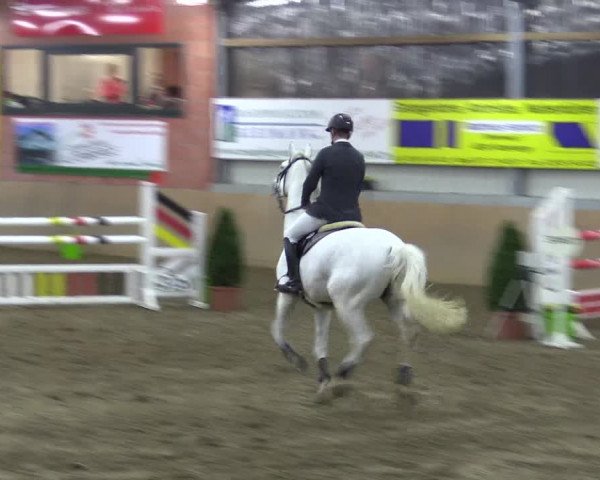Hallenspringturnier Altenberge 2016