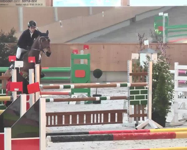Reitturnier Illertissen 2016