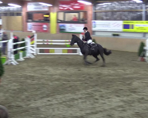 Hallenspringturnier Altenberge 2016