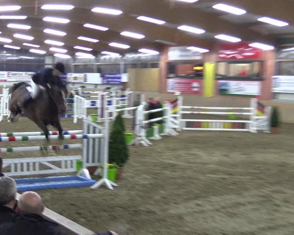 Hallenspringturnier Altenberge 2016