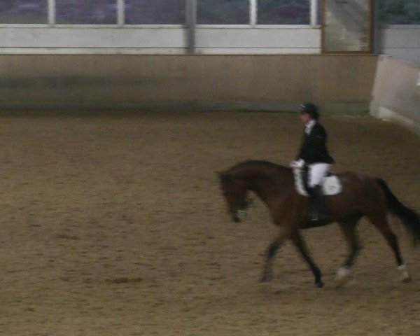Hallen-Reitturnier Iserlohn 2016